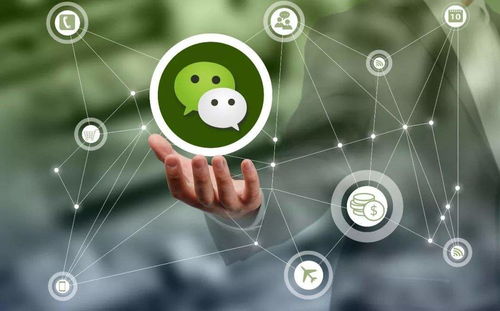 朋友圈營銷策劃推廣實(shí)戰(zhàn)指南 微漁商學(xué)院助你精準(zhǔn)引流